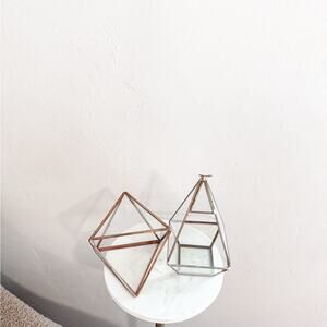 Anthropologie Rose & Gold Geometric Glass Terrariums